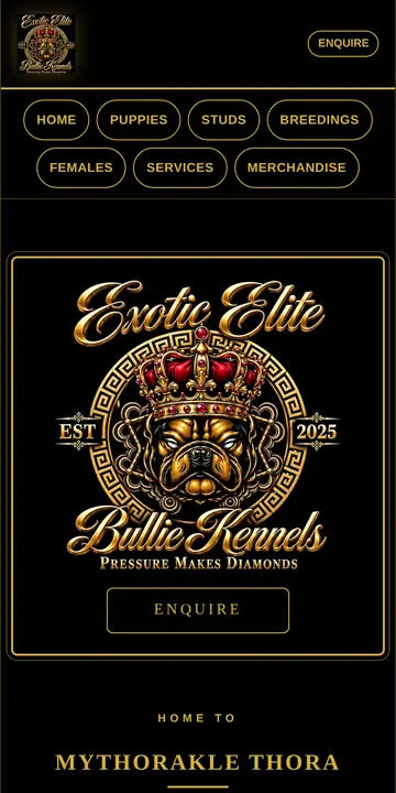 Exotic Elite Bullie Kennels website on mobile